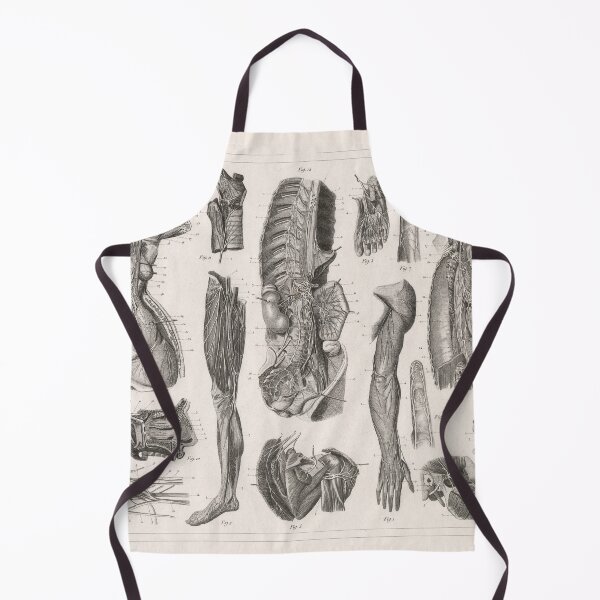 Item preview, 1857 Diagram Anatomy including the Nerves designed and sold by Gin  Neko.
