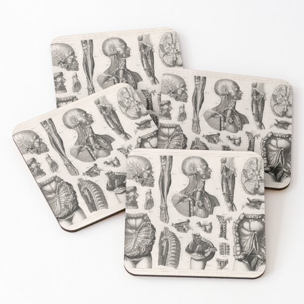 Item preview, 1857 Diagram Anatomy including the Nerves designed and sold by Gin  Neko.