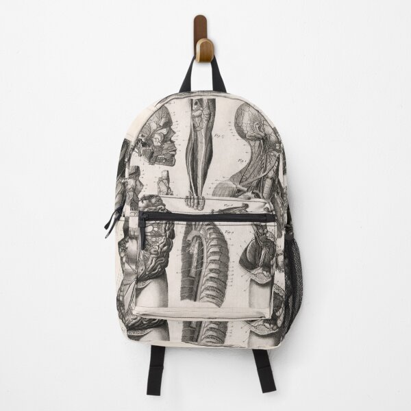 Item preview, 1857 Diagram Anatomy including the Nerves designed and sold by Gin  Neko.