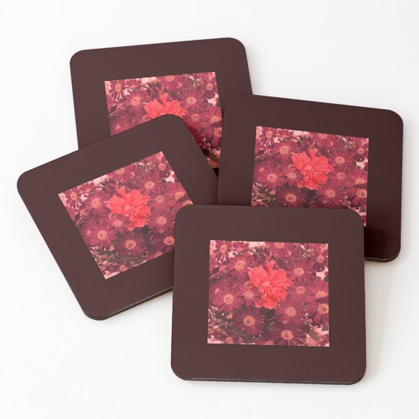 Item preview, ALLEGRATA 6 cinerary carnation daisies ROSE PURPLE flower bouquet floral arrangement nature plant picture designed and sold by dragonemma.