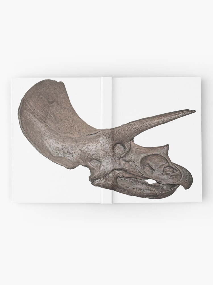 Premium Vector  Abstract black line dinosaur triceratops skull