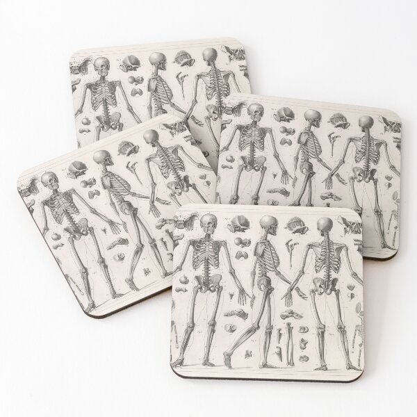 Item preview, 1857 Diagram Anatomy including Skeletons designed and sold by Gin  Neko.