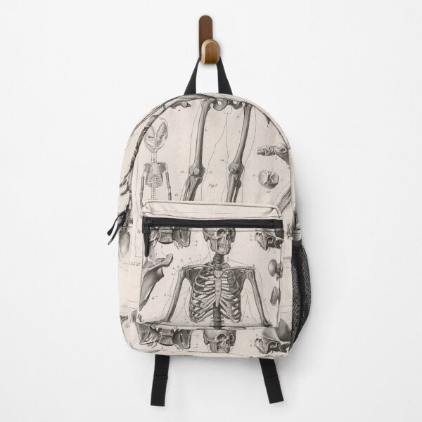 Item preview, 1857 Diagram Anatomy including Skeletons designed and sold by Gin  Neko.