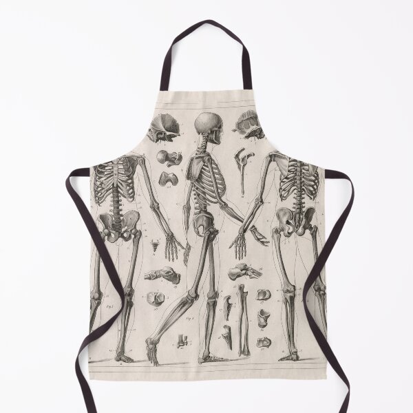 Item preview, 1857 Diagram Anatomy including Skeletons designed and sold by Gin  Neko.
