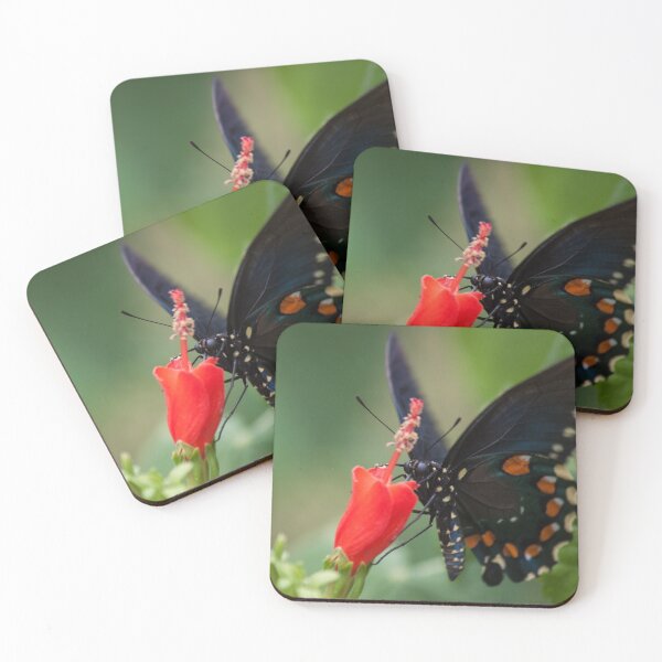 Item preview, Migration designed and sold by Jacquelie.