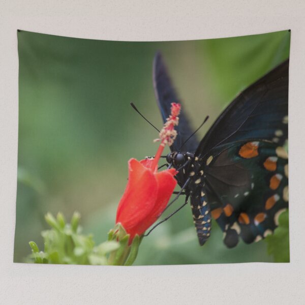Item preview, Migration designed and sold by Jacquelie.