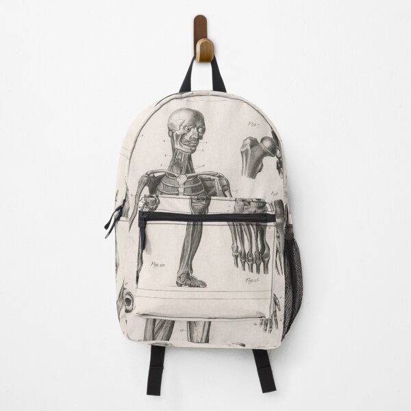 Item preview, 1857 Diagram Anatomy including Ligaments and Muscles designed and sold by Gin  Neko.