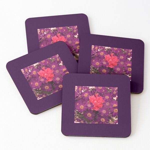 Item preview, ALLEGRATA 4 carnation cinerary daisies blue pink flower bouquet floral composition nature plant photo designed and sold by dragonemma.