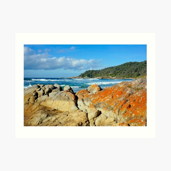 Point Hicks Art Print