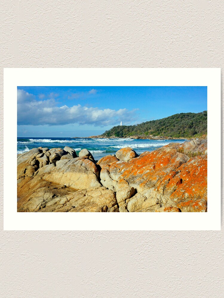 Alternate view of Point Hicks Art Print
