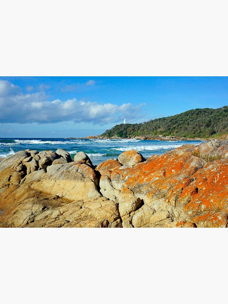 Point Hicks by HarryOldmeadow