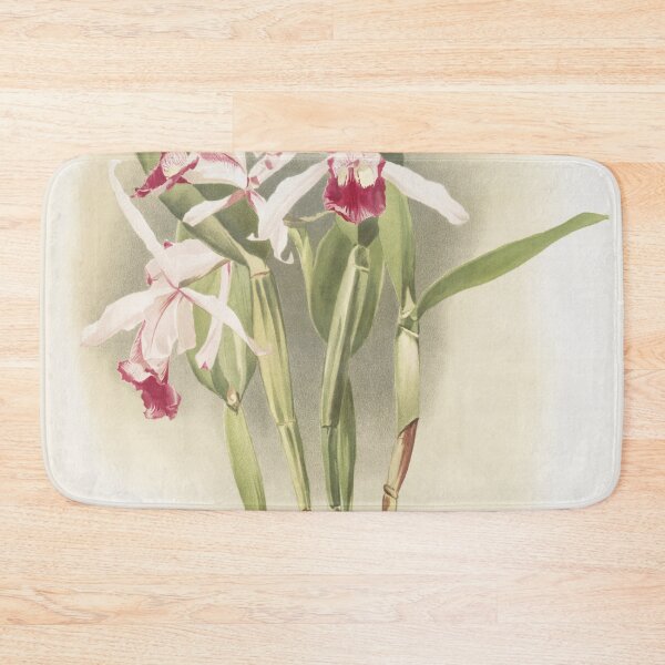 Item preview, Reichenbachia: Orchids Illustrated and Described designed and sold by EsotericBotanic.