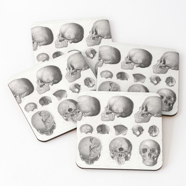 Item preview, 1857 Diagram Anatomy including Heads: Skulls designed and sold by Gin  Neko.