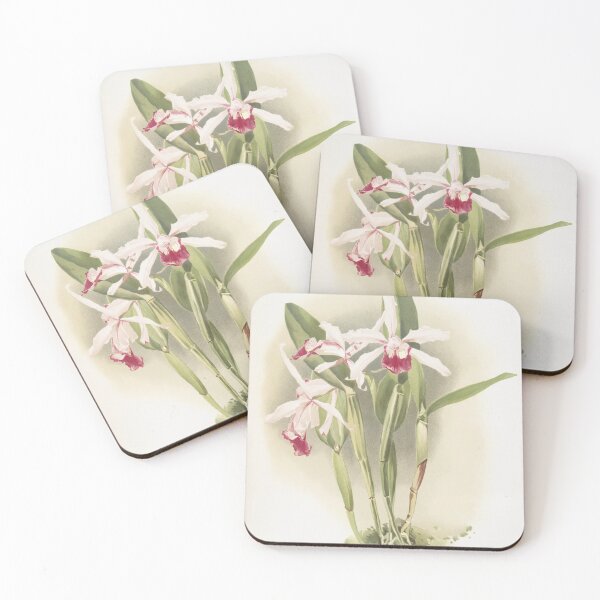 Item preview, Reichenbachia: Orchids Illustrated and Described designed and sold by EsotericBotanic.
