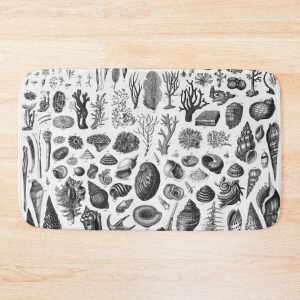 Item preview, 1857 Diagram Zoology: Corals and Mollusks designed and sold by Gin  Neko.