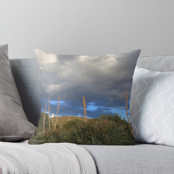 Item preview, Green sotol plants designed and sold by zumi.