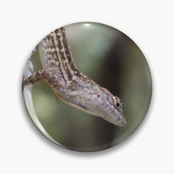 Item preview, Lizard Close-Up designed and sold by Sam Skeels.