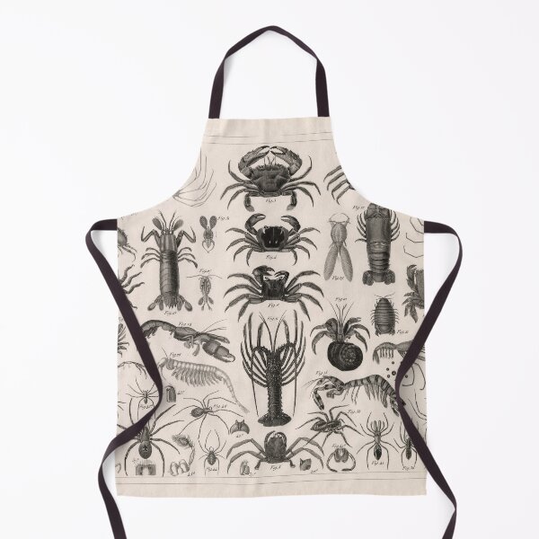 Item preview, 1857 Diagram Zoology: Animals including Crustaceans. designed and sold by Gin  Neko.