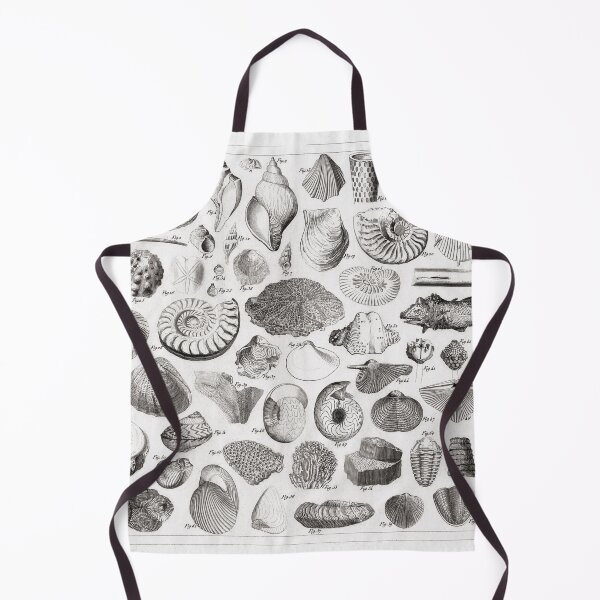 Item preview, 1857 Diagram Paleontology: Fossils designed and sold by Gin  Neko.