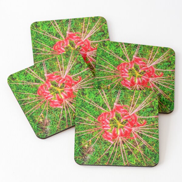 Item preview, Spider Lily Beauty designed and sold by EnticingRose.