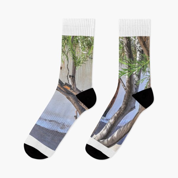 Item preview, Trees of San Elizario designed and sold by zumi.