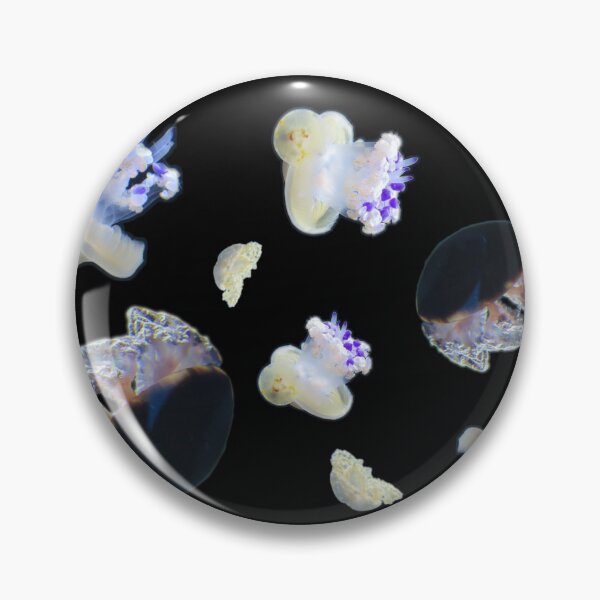 Item preview, jellyfish field day designed and sold by laceyyyann34.