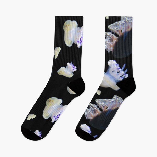 Item preview, jellyfish field day designed and sold by laceyyyann34.