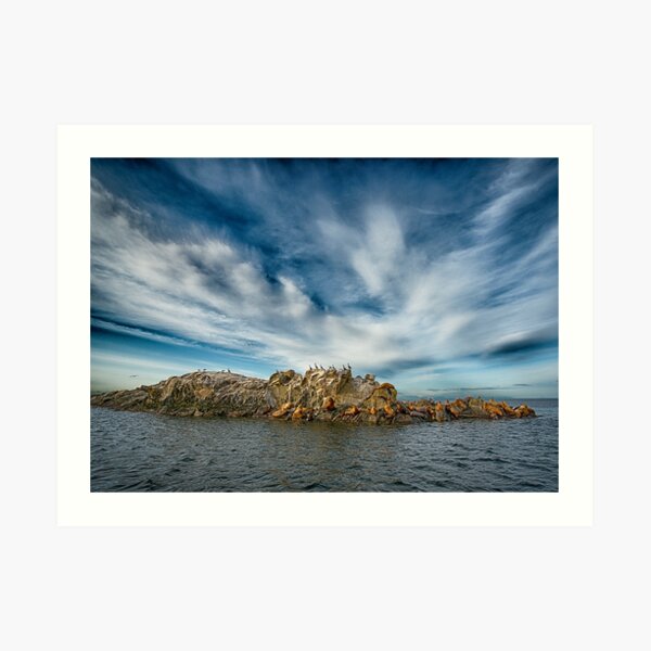 Animals on the Belle Chain Islets Art Print
