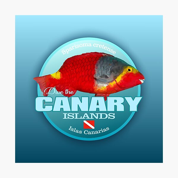 Item preview, Dive The Canary Islands (DD2) designed and sold by curranmorgan.