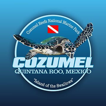 Artwork thumbnail, Dive Cozumel (DD2) by curranmorgan