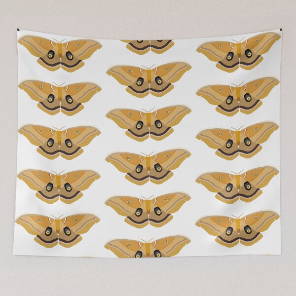 Item preview, Polyphemus moth - light designed and sold by RachaelManto.