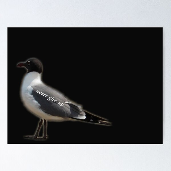 Item preview, never give up seagull designed and sold by laceyyyann34.