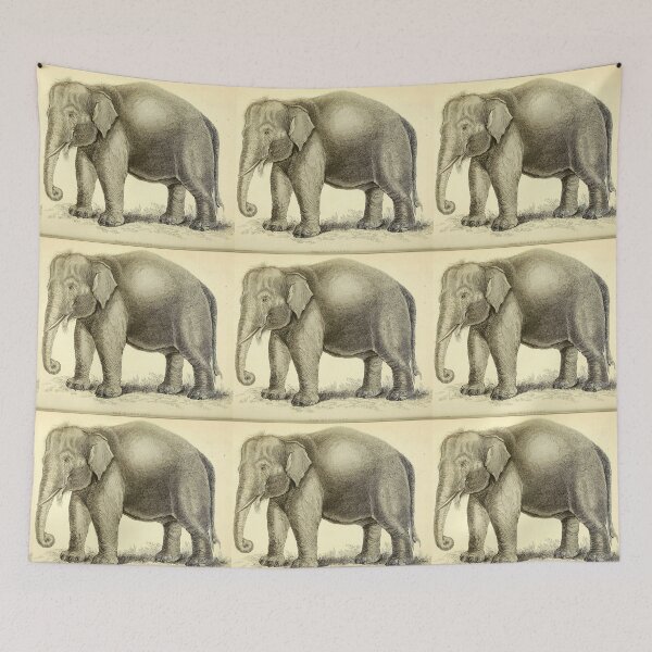 Item preview, Elephant  designed and sold by Amanda1775.
