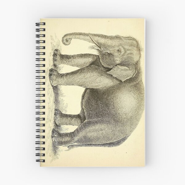 Item preview, Elephant  designed and sold by Amanda1775.