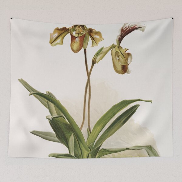 Item preview, Reichenbachia: Orchids Illustrated and Described designed and sold by EsotericBotanic.