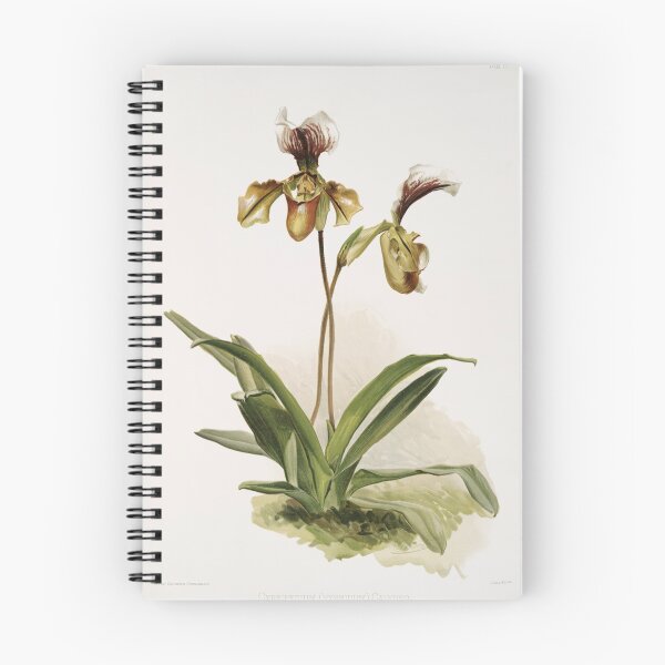 Item preview, Reichenbachia: Orchids Illustrated and Described designed and sold by EsotericBotanic.