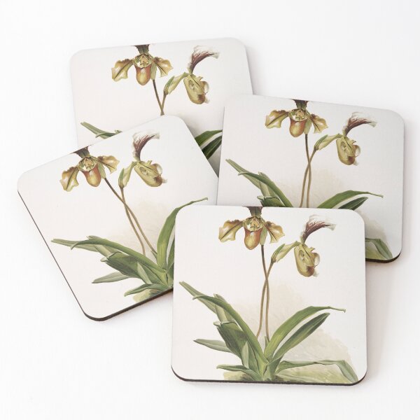 Item preview, Reichenbachia: Orchids Illustrated and Described designed and sold by EsotericBotanic.