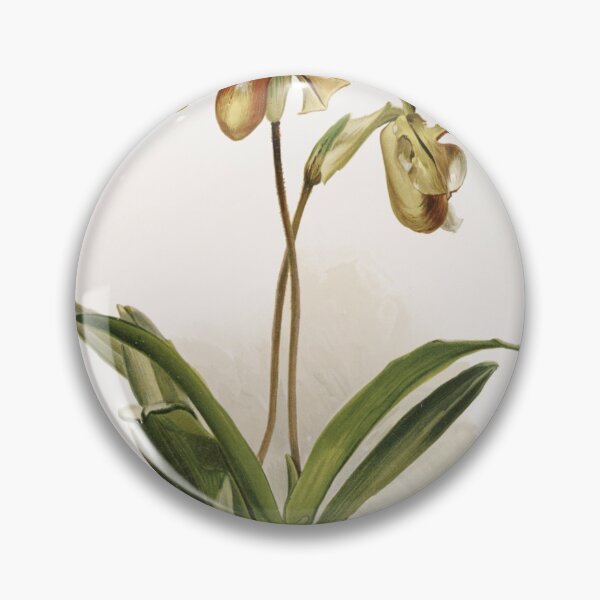 Item preview, Reichenbachia: Orchids Illustrated and Described designed and sold by EsotericBotanic.