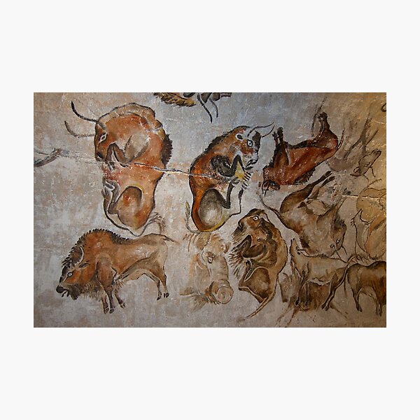 Altamira Bisons. Altamira cave paintings Photographic Print