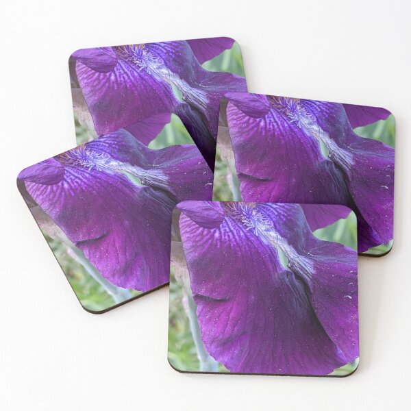 Aperçu de l'œuvre Iris violet 2 créée et vendue par Quirkyalonester.