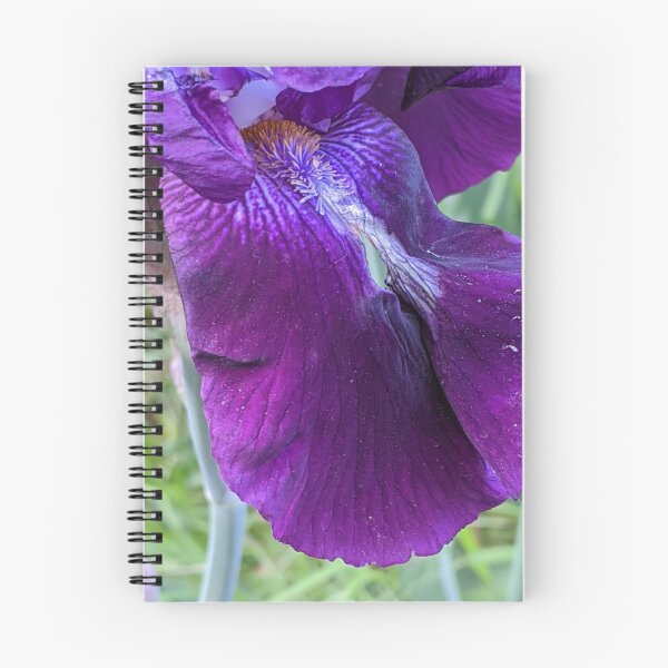 Item preview, Purple Iris 2 designed and sold by Quirkyalonester.