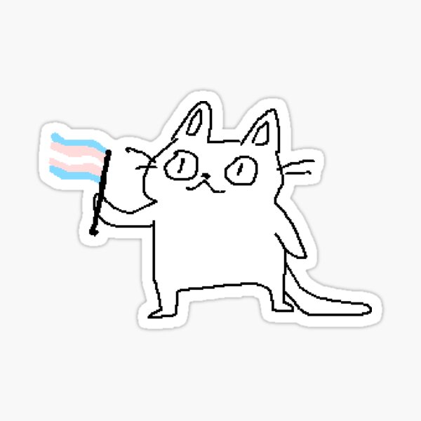 trans rights Sticker