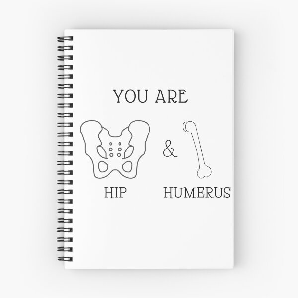 Item preview, hip and humerus designed and sold by Medipuns.