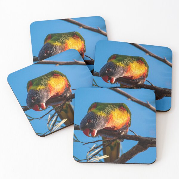 Item preview, Rainbow Lorikeet saying Hello NSW Central Coast of Australia designed and sold by suziq1962.