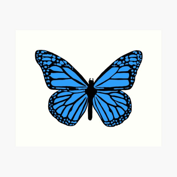 Blue Butterfly Art Print for Sale by amywang716