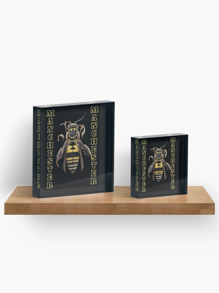 Thumbnail 3 of 5, Acrylic Block, Manchester Bee designed and sold by DesignsofNote.