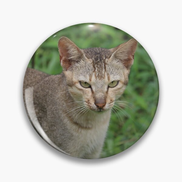 Item preview, For the people who loves cat designed and sold by adagalale.