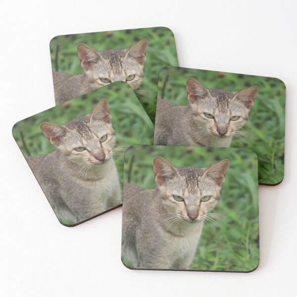 Item preview, For the people who loves cat designed and sold by adagalale.