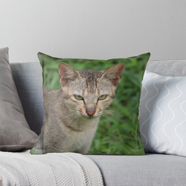Item preview, For the people who loves cat designed and sold by adagalale.