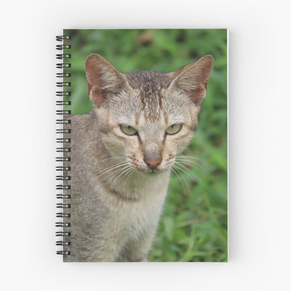 Item preview, For the people who loves cat designed and sold by adagalale.